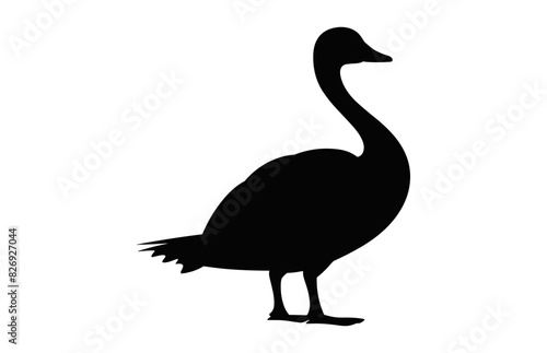 Goose Silhouette Vector art  Goose Walking black Silhouette Clipart