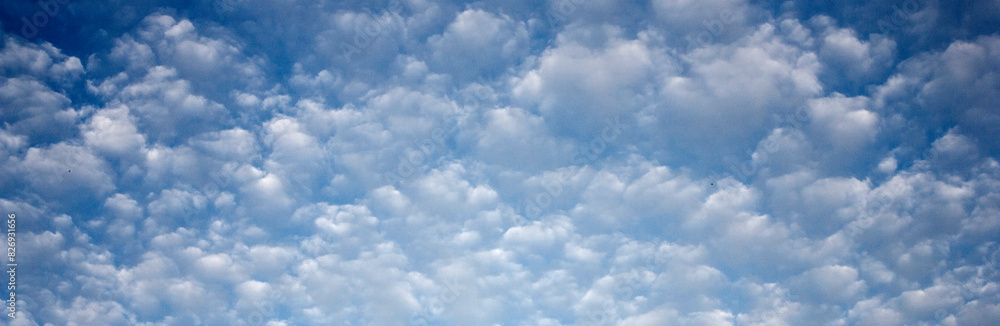 Naklejka premium Floating clouds in the sky on a clear day. White clouds on the blue sky in summer. Lots of fluffy clouds in the sky. 