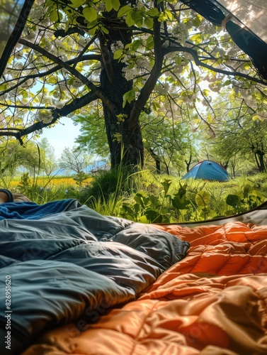 camping scenery with a lush green nature © marco