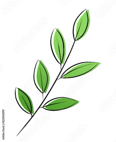 tea leaf　④