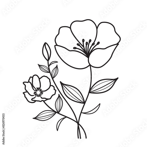 Vector art of flowers outlines illustration. Botanical flowers line art with leaves in black isolated on a white background. Flowers for coloring books and decoration.