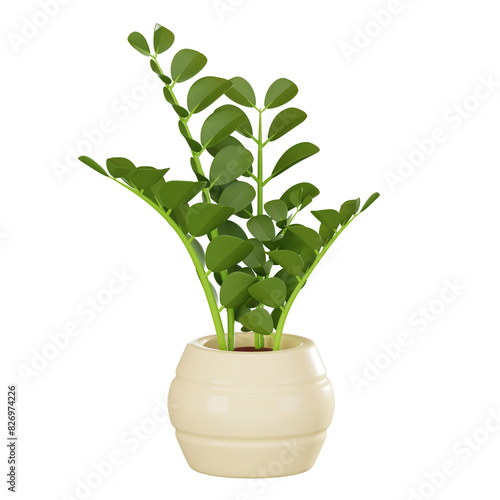 Botanical Elegance of zz Plant Home Decor Icon. 3D Render photo