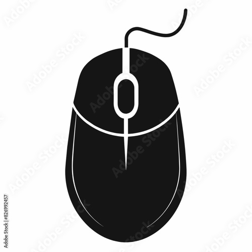 computer mouse