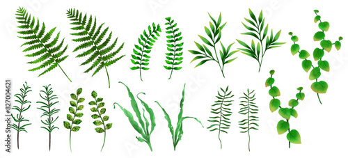 ベクター ジャングル系の植物　色々