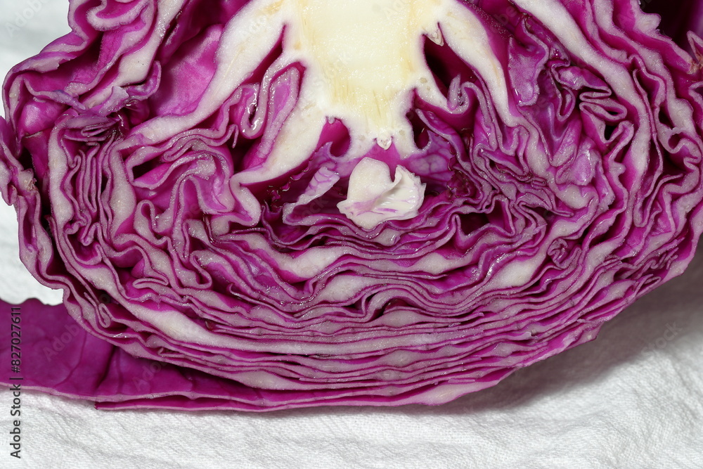Obraz premium red cabbage on a white background