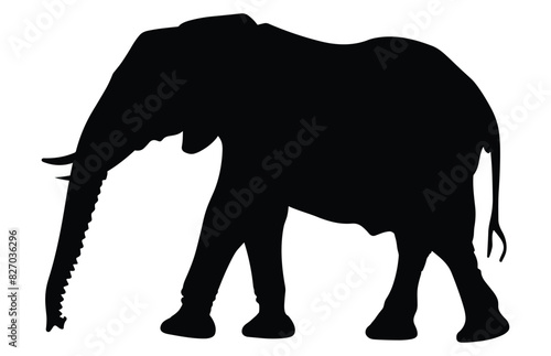 African Elephant Animal silhouette  Wild African Elephant Silhouette 
