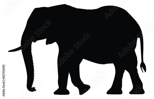 African Elephant Animal silhouette, Wild African Elephant Silhouette 