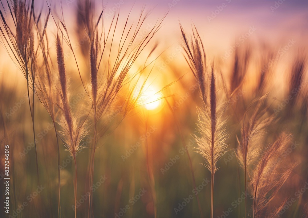 A Close-Up of a Small Grass Stem with a Sunset Over a Calm Sea, as the Sun Descends Below the Horizon. Featuring Soft Pastel Watercolor Tones in Pink and Purple. A Close-Up of a Small Grass Stem with a Sunset Over a Calm Sea, as the Sun Descends Below the Horizon. Featuring Soft Pastel Watercolor Tones in Pink and Purple.