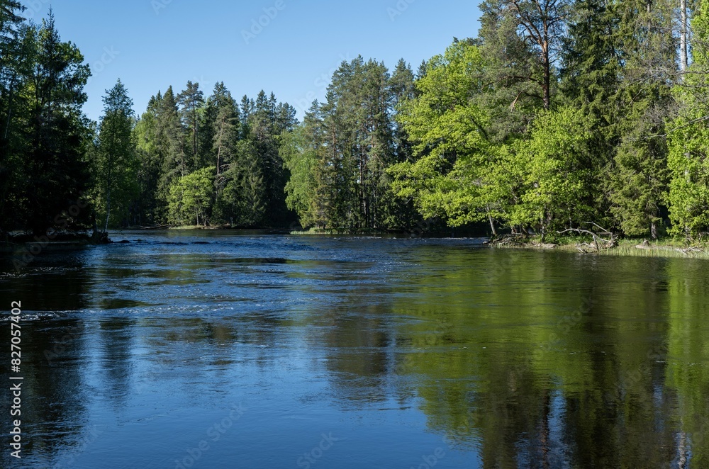 River landscape in spring. Farnebofjarden national park in north of Sweden. River landscape in spring. Farnebofjarden national park in north of Sweden.