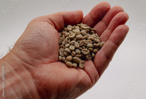 Mans left hand hold small green coffee beans in front of white background 