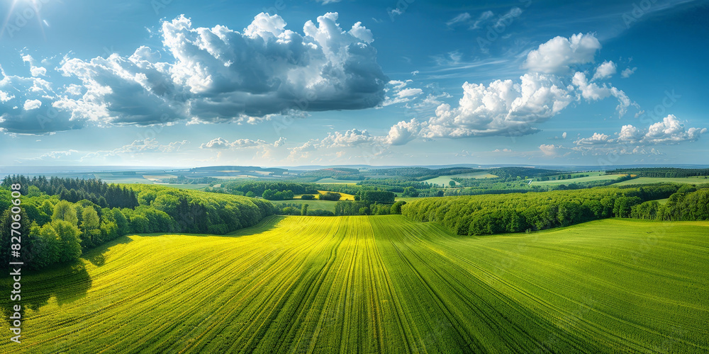 Fototapeta premium Rolling green hills under a bright blue sky with fluffy clouds and golden sunlight, creating a serene and picturesque rural landscape that stretches into the horizon. 