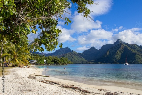 Bathing in the crystal clear waters of Ta'ahiamanu Beach on the island of Mo'orea, French Polynesia