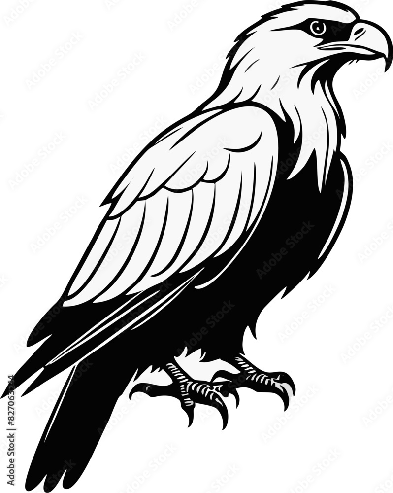 Fototapeta premium Eagle bird line art illustration design
