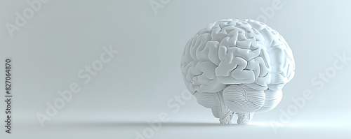 3D rendered white brain model on a light background, symbolizing intelligence, mental health, and cognitive sciences.