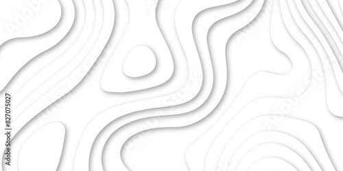 Abstract luxury white modern 3d papercut, topography map circle and wave line smooth multilayer pattern.  topographic canyon geometric map relief texture with curved layers and shadow.