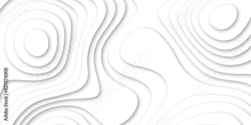 Abstract luxury white modern 3d papercut, topography map circle and wave line smooth multilayer pattern.  topographic canyon geometric map relief texture with curved layers and shadow.