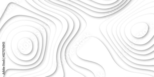 Abstract luxury white modern 3d papercut, topography map circle and wave line smooth multilayer pattern.  topographic canyon geometric map relief texture with curved layers and shadow.