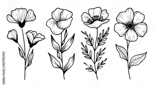 Four of black and white flowers in line style. Doodle