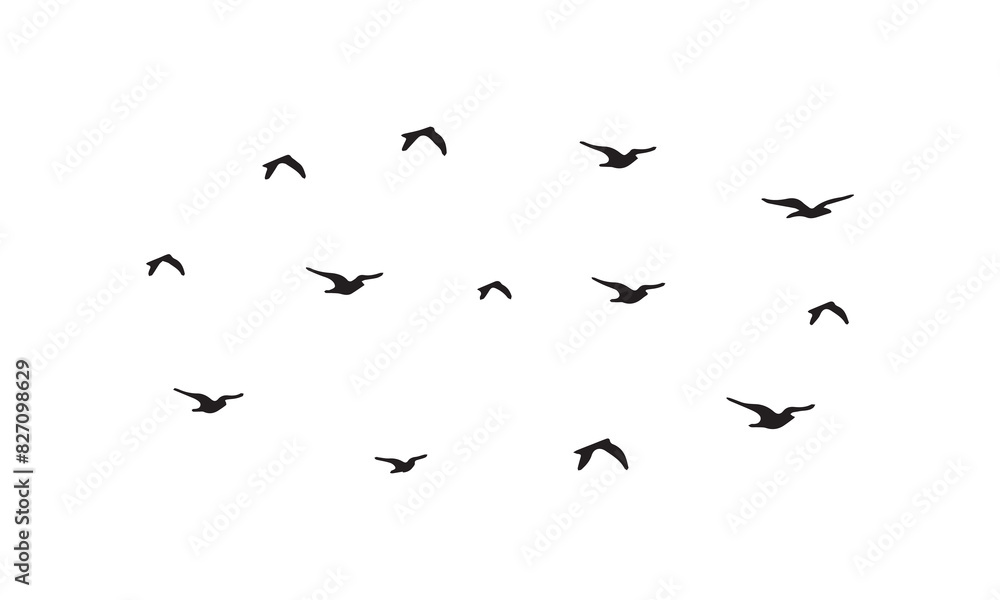 Flying Birds Vector And Illustration. Flying Birds Vector And Illustration.