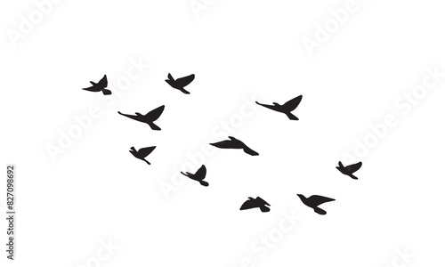 Flying Birds Vector And Illustration.  © Syed Zakir Hossen