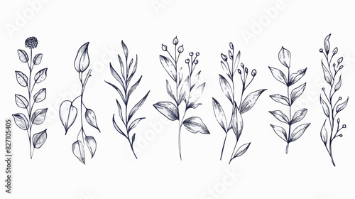 Fototapeta Naklejka Na Ścianę i Meble -  Hand drawn line floral element. Doodle leaf elements