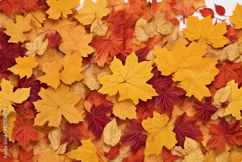 Background with beautiful autumn leaves  Banner  wallpaper