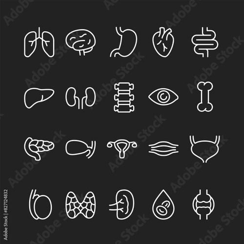 Human organs icon set, white on black background. Internal anatomy and body structures. Customizable line thickness