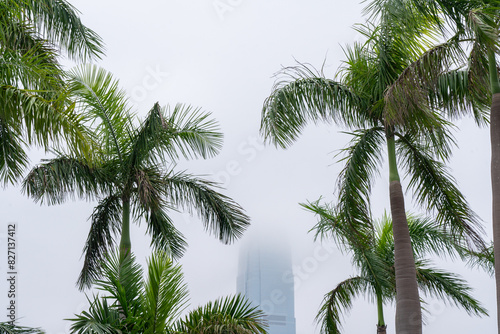 Coconut trees in Hong Kong s Victoria Harbour  with office towers rising into the sky in the distance.