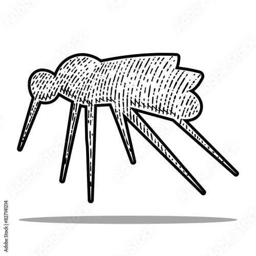 mosquito icon vector engraving style hand drawn element black and white