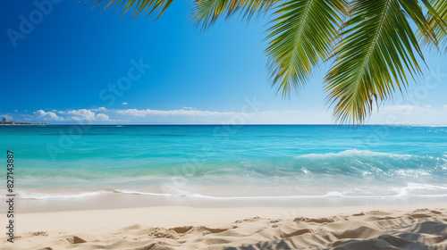  Tropical beach. Summer vacation on a tropical island with beautiful beach and palm trees. Tropical Maldives.