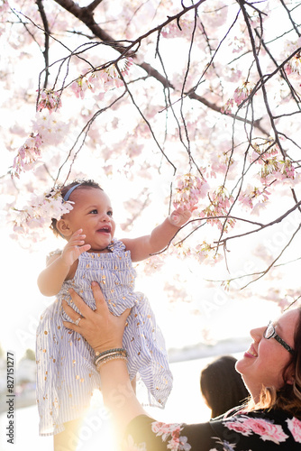 Woman lifting a happy baby towards cherry blossoms, with sunligh photo