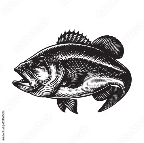 bass fish silhouette. fish illustration. jumping fish