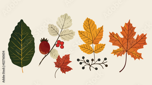Vintage autumn forest leaf Four . Flat hand drawn vectors