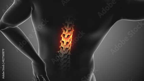 Human body showing spinal pain against a Gray background photo