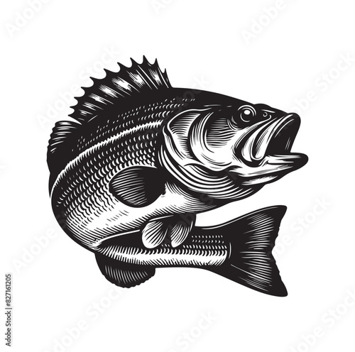 bass fish silhouette. fish illustration. jumping fish
