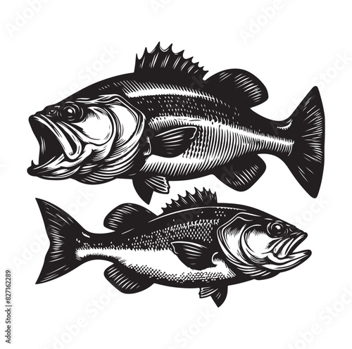 bass fish silhouette. fish illustration. jumping fish