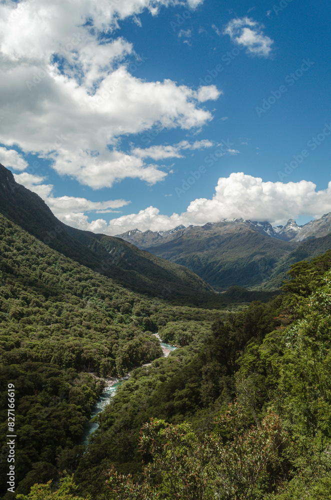 Fototapeta premium a view of landscape forest with Clouds at Pop's View Lookout, New Zealand