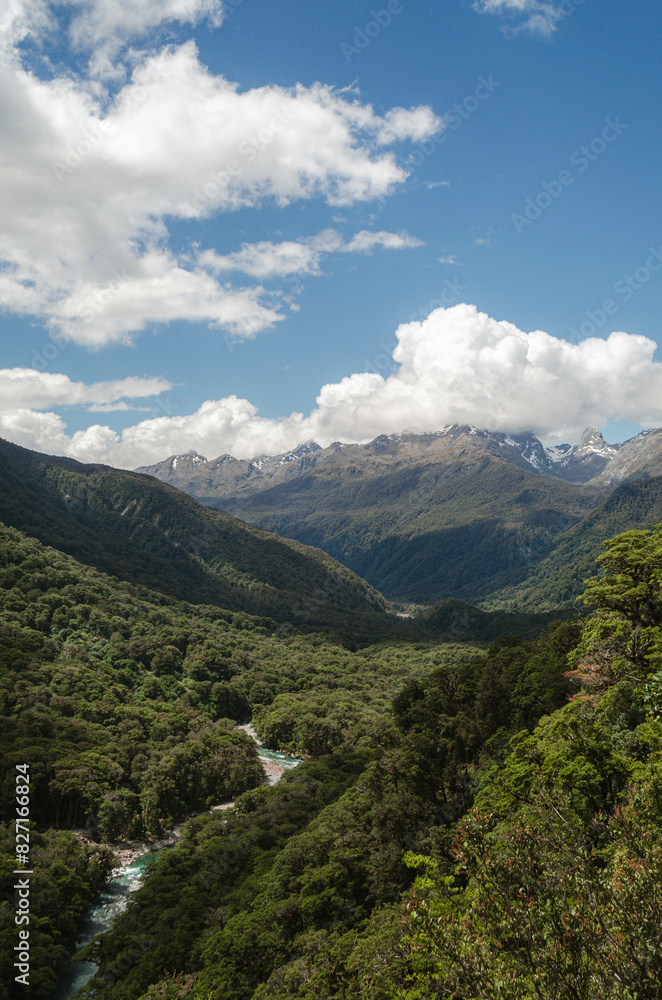 a view of landscape forest with Clouds at Pop's View Lookout, New Zealand a view of landscape forest with Clouds at Pop's View Lookout, New Zealand