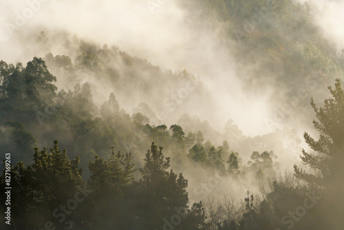 Foggy sunrise in the mountains photo