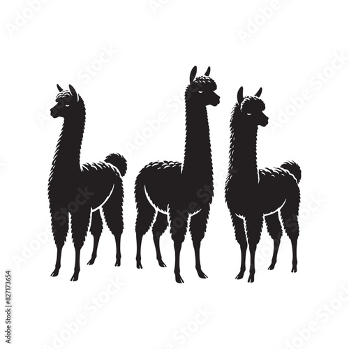 Trendy Alpaca silhouette vector for modern designs minimallest Alpaca vector
