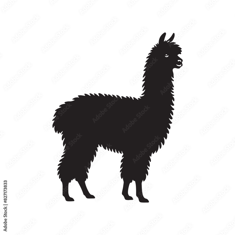 Fototapeta premium Modern Alpaca silhouette vector for web and print Alpaca illustration