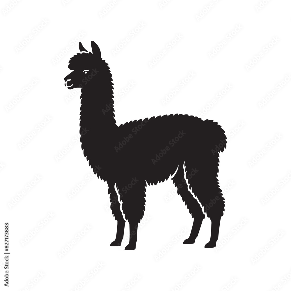 Fototapeta premium Elegant Alpaca silhouette vector for creative projects Alpaca illustration