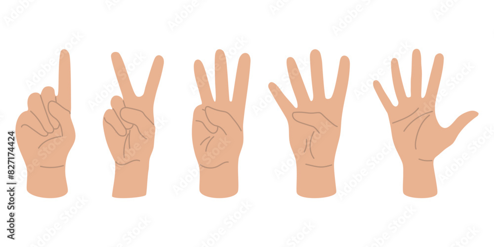 Fingers show numbers, set of human hands flat design hand drawn, vector illustration Fingers show numbers, set of human hands flat design hand drawn, vector illustration