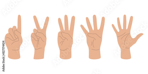 Fingers show numbers, set of human hands flat design hand drawn, vector illustration
