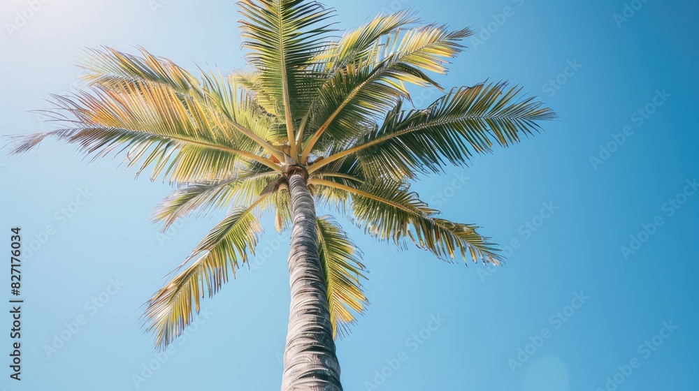 The palm tree elegantly sways in the gentle breeze under the clear blue sky its slim trunk decorated with detailed patterns The palm tree elegantly sways in the gentle breeze under the clear blue sky its slim trunk decorated with detailed patterns