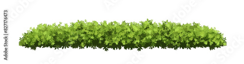 Vector watercolor green tree or grass side view isolated on white background for landscape and architecture drawing elements for environment or garden botanical element for exterior section in spring