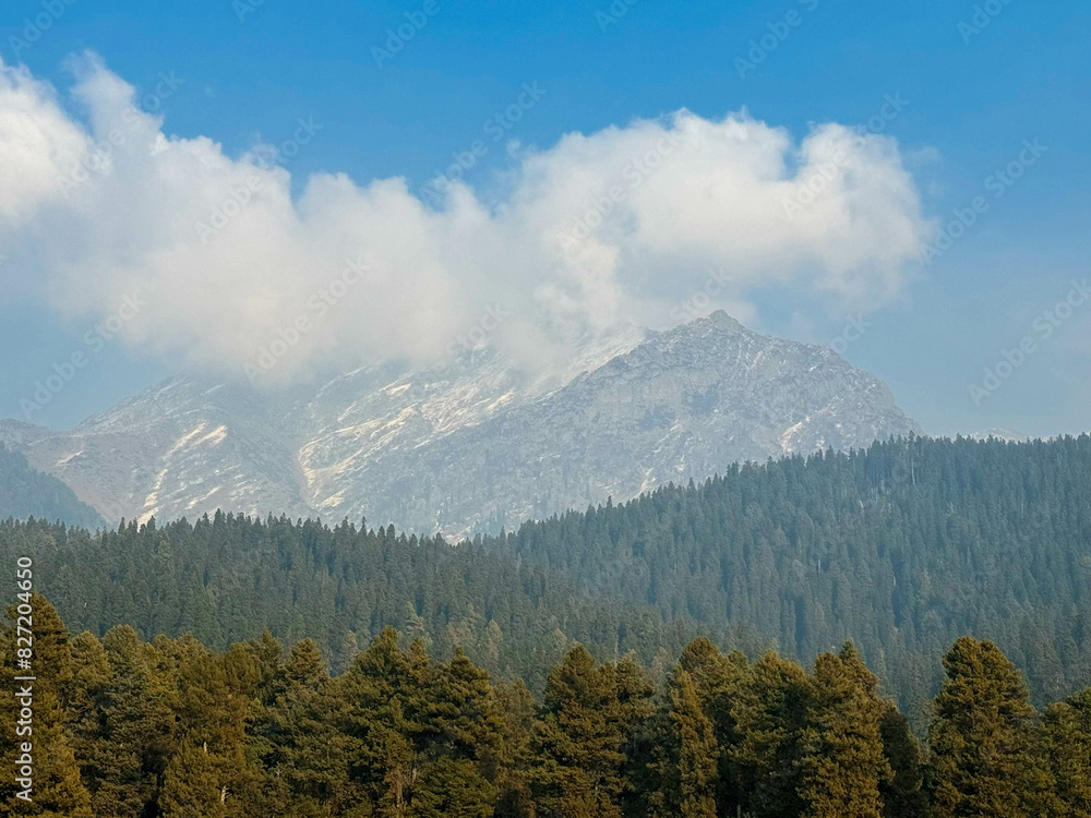 Obraz premium Discovering the Snow-Clad Splendor - Baisaran Valley, Pahalgam, Kashmir, India