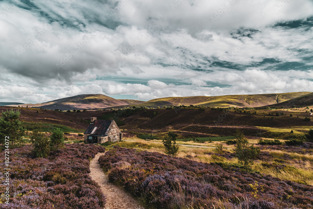 Naklejka premium Paysage écossais