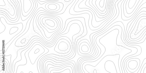 Black and white wave Seamless line. Vector geographic contour map. Topography map background. Topography relief. White wave paper curved reliefs abstract. Topographic map patterns,topography line map.