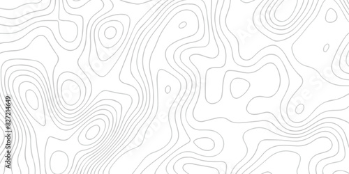 Black and white wave Seamless line. Vector geographic contour map. Topography map background. Topography relief. White wave paper curved reliefs abstract. Topographic map patterns,topography line map. photo